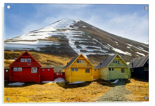 Summer in Arctic Svalbard Acrylic by Martyn Arnold