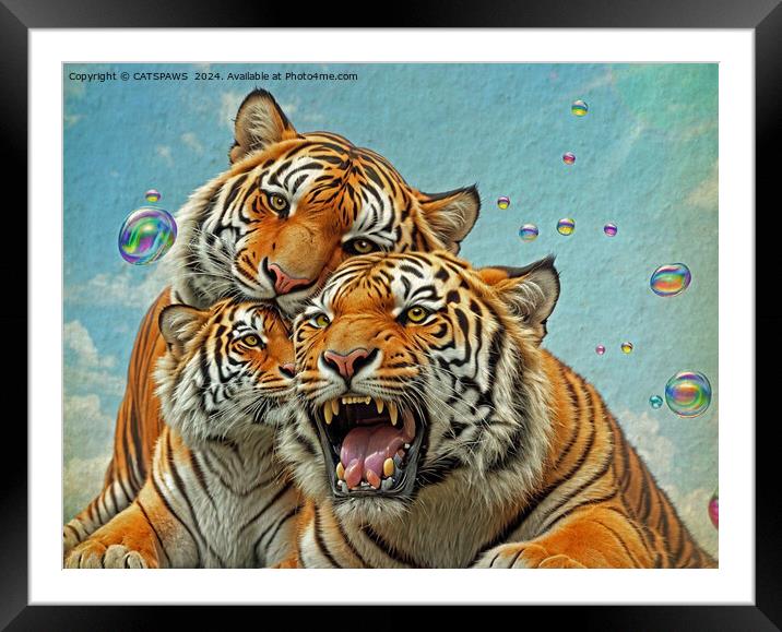 TREBLE TIGER TROUBLE Framed Mounted Print by CATSPAWS 