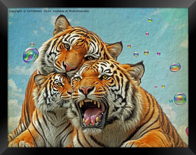 TREBLE TIGER TROUBLE Framed Print by CATSPAWS 