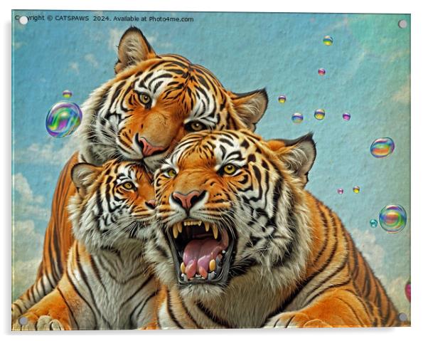 TREBLE TIGER TROUBLE Acrylic by CATSPAWS 