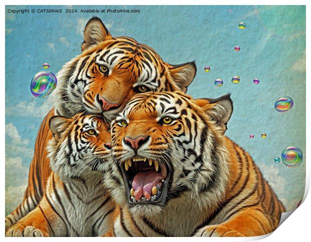 TREBLE TIGER TROUBLE Print by CATSPAWS 