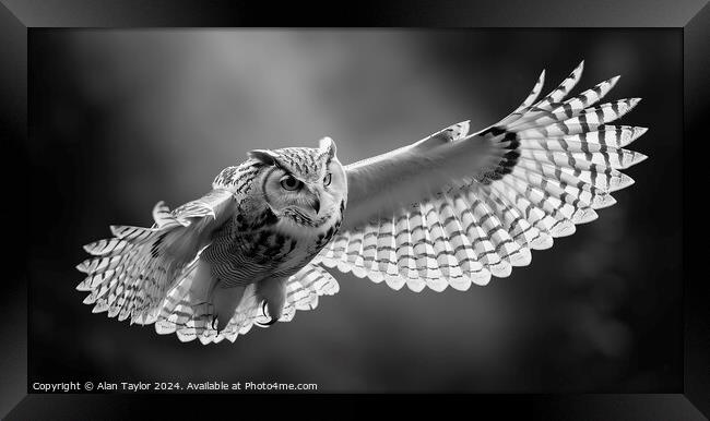 Owl in Flight Framed Print by Alan Taylor