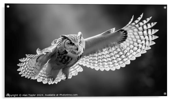 Owl in Flight Acrylic by Alan Taylor