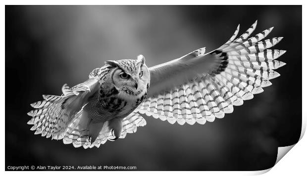 Owl in Flight Print by Alan Taylor