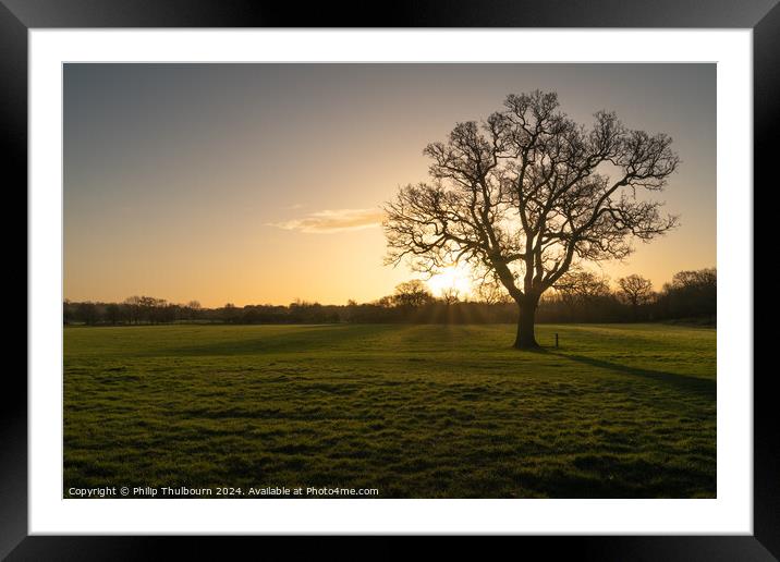 Lone Tree Framed Mounted Print by Philip Thulbourn