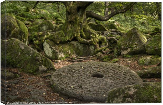 Abandoned mill stone in Padley Gorge in the Peak District Canvas Print by Paul Edney
