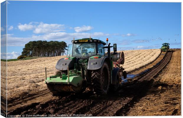 Farm Life Canvas Print by Tom McPherson