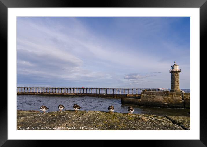 East Pier, Whitby Framed Mounted Print by Michael Shannon