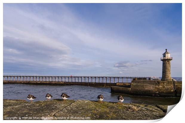 East Pier, Whitby Print by Michael Shannon