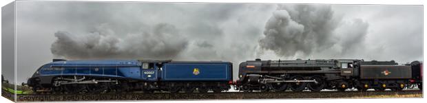 Sir Nigel Gresley and Britannia Steam Locomotives Canvas Print by Keith Douglas