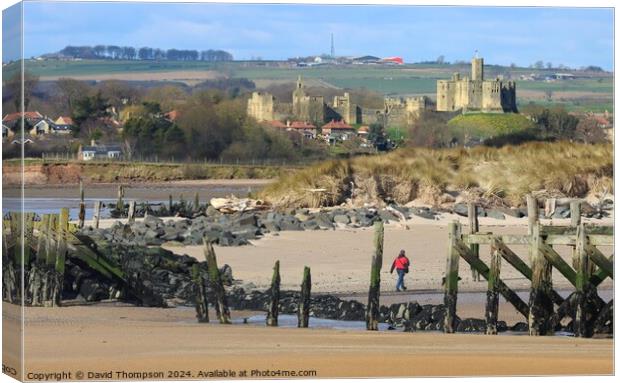 Warkworth Castle  Canvas Print by David Thompson