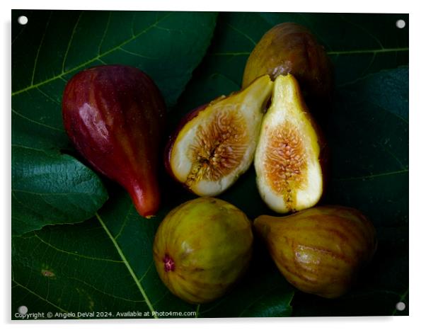 Sweet Figs on Leaves Acrylic by Angelo DeVal