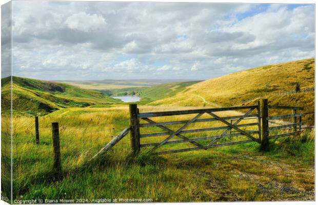 Wessenden West Yorkshire Canvas Print by Diana Mower