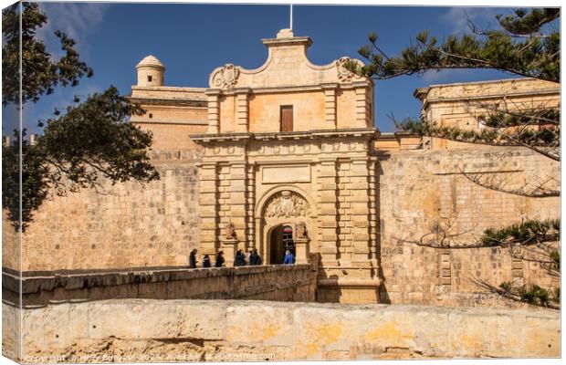 Mdina Entrance to the walled City Valleta  Canvas Print by Holly Burgess