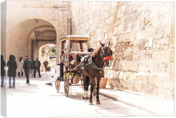 Horse and carriage  Canvas Print by Holly Burgess