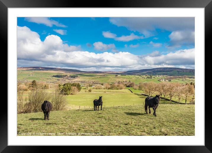 The Bail Hill Trio Framed Mounted Print by Richard Laidler