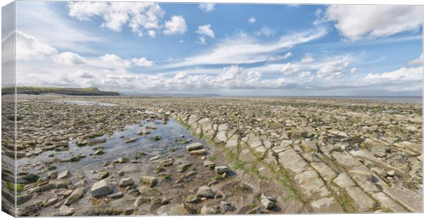 Kilve Beach Canvas Print by Mark Godden