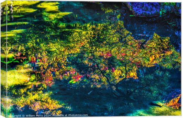 Garden Reflection Abstract Ginkakuji Silver Temple Kyoto Canvas Print by William Perry