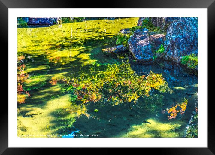 Fall Leaves Garden Ginkakuji Silver Temple Kyoto Japan Framed Mounted Print by William Perry