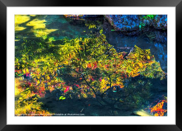 Fall Leaves Garden Ginkakuji Silver Temple Kyoto Japan Framed Mounted Print by William Perry