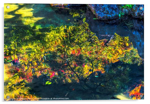 Fall Leaves Garden Ginkakuji Silver Temple Kyoto Japan Acrylic by William Perry
