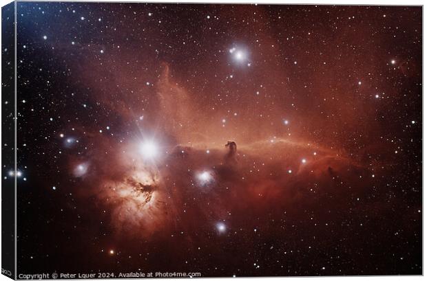 The Horsehead Nebula Canvas Print by Peter Louer