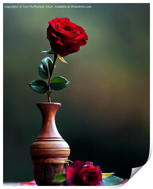 Red Rose Print by Tom McPherson