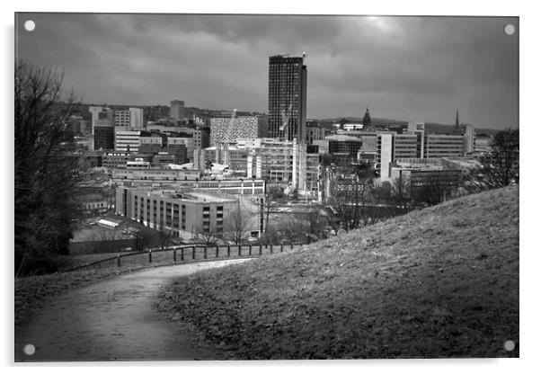 Sheffield Cityscape BW Acrylic by Alison Chambers