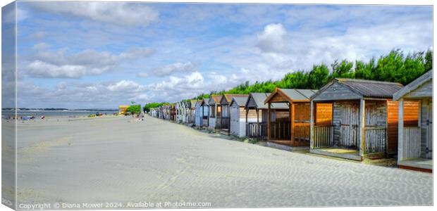West Wittering beach Huts   Canvas Print by Diana Mower