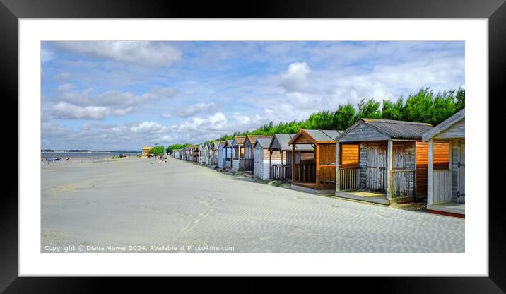 West Wittering beach Huts   Framed Mounted Print by Diana Mower