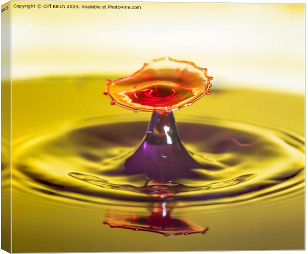 Water drop collision Canvas Print by Cliff Kinch