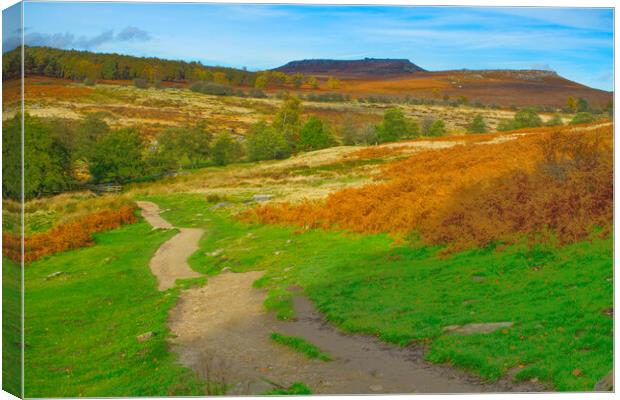 Footpath To Higger Tor Canvas Print by Alison Chambers