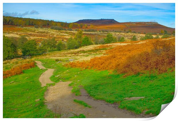 Footpath To Higger Tor Print by Alison Chambers