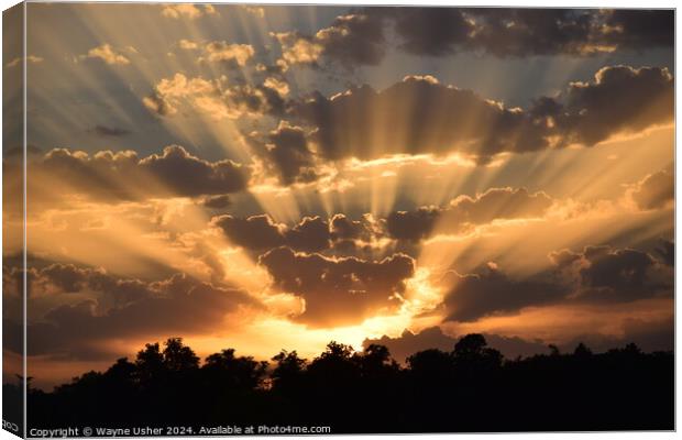 Glorious Sunset shining Golden Rays of Light Canvas Print by Wayne Usher