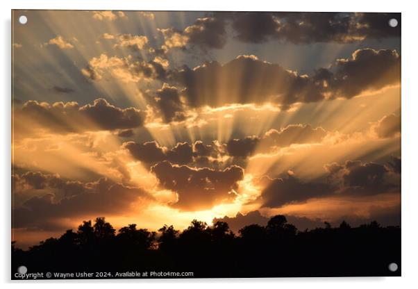 Glorious Sunset shining Golden Rays of Light Acrylic by Wayne Usher
