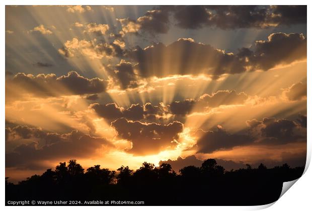 Glorious Sunset shining Golden Rays of Light Print by Wayne Usher