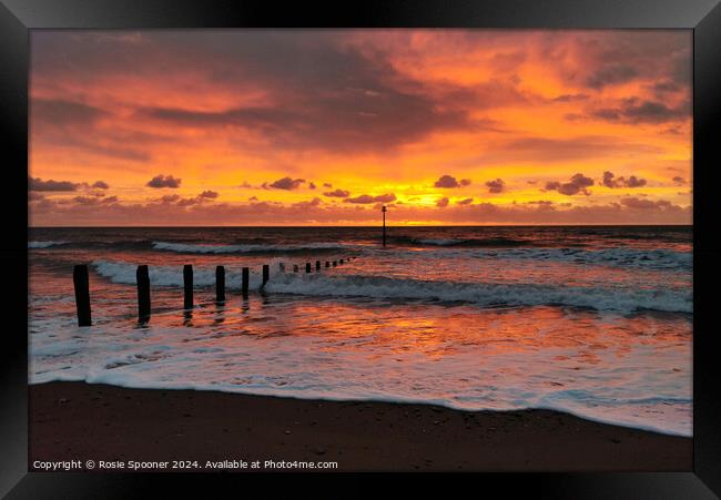 Sunrise on Teignmouth Beach Framed Print by Rosie Spooner
