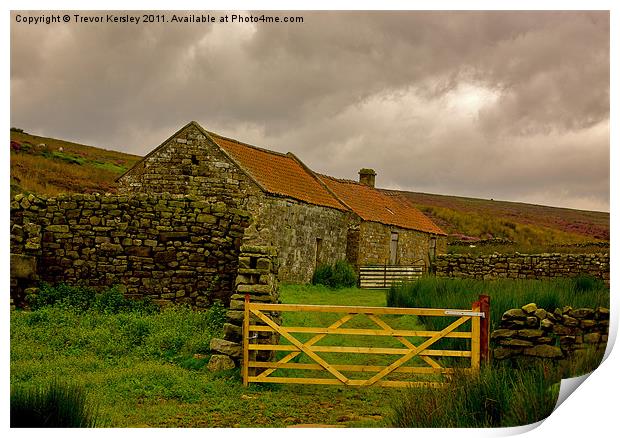 Shelters on the Moors Print by Trevor Kersley RIP