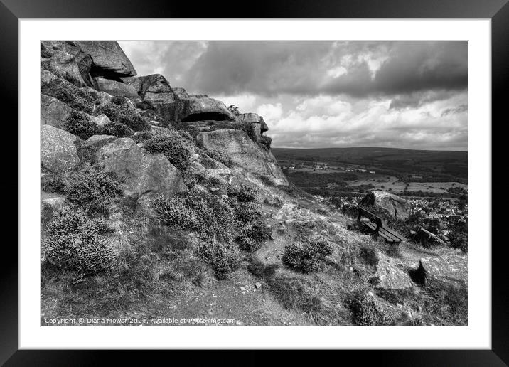 The Cow and Calf Seat Monochrome Framed Mounted Print by Diana Mower