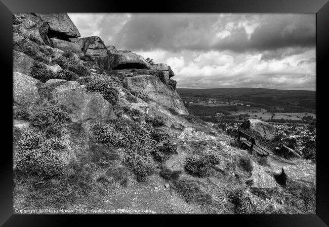 The Cow and Calf Seat Monochrome Framed Print by Diana Mower
