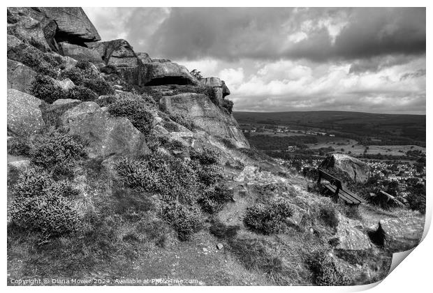 The Cow and Calf Seat Monochrome Print by Diana Mower