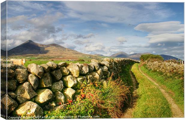 Pathway to the Mourne Mountains Canvas Print by David McFarland