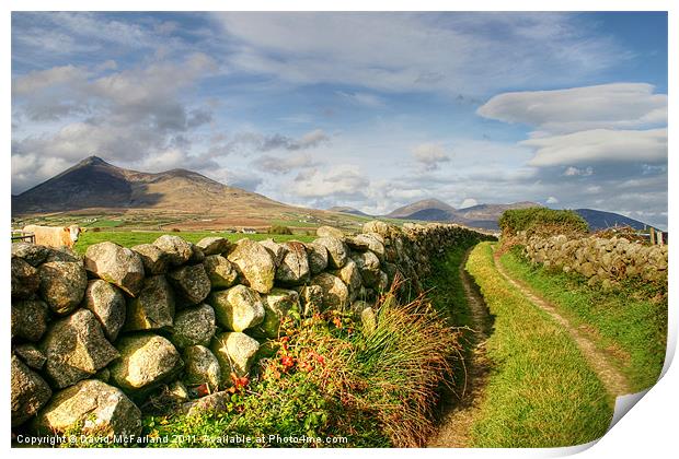 Pathway to the Mourne Mountains Print by David McFarland