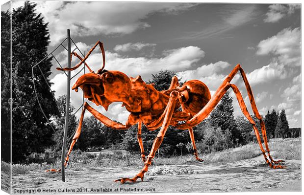 MASSIVE ORANGE ANT Canvas Print by Helen Cullens