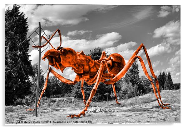 MASSIVE ORANGE ANT Acrylic by Helen Cullens