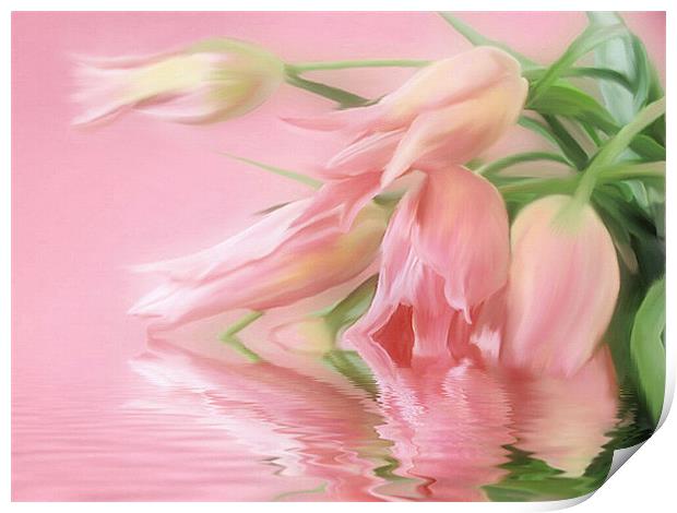  Spring Tulip Wish     flower  Print by Elaine Manley