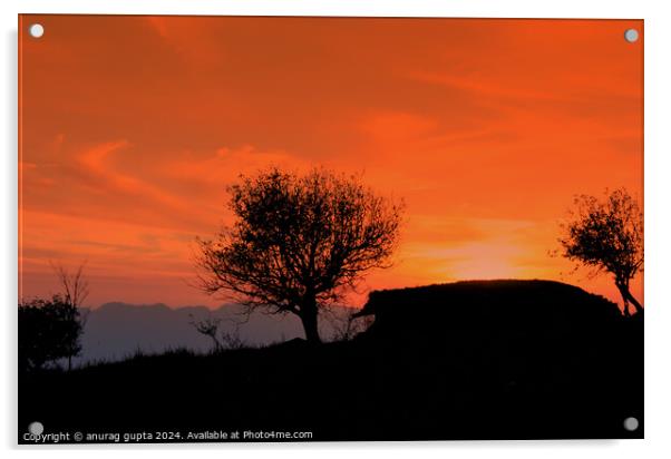 colours of sunset Acrylic by anurag gupta