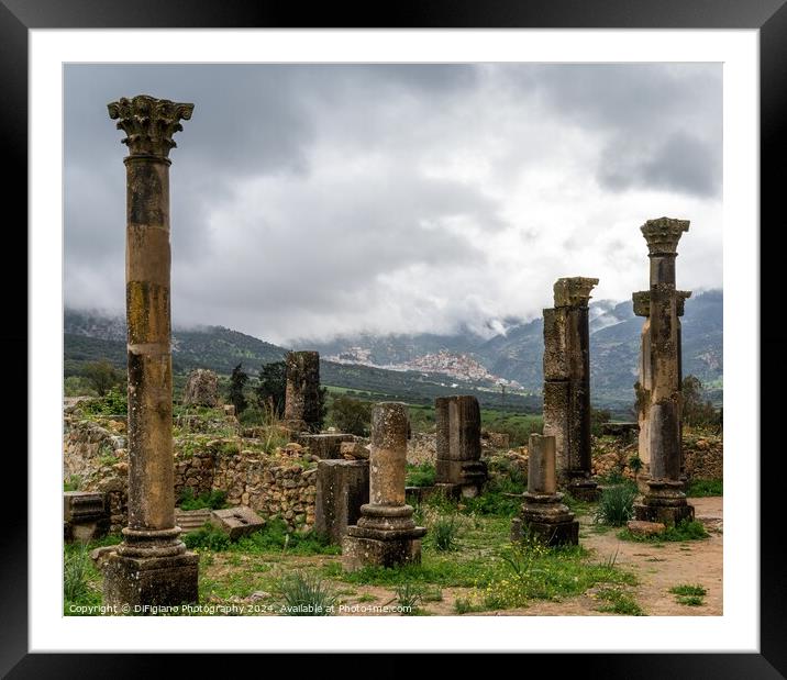 Volubilis Framed Mounted Print by DiFigiano Photography