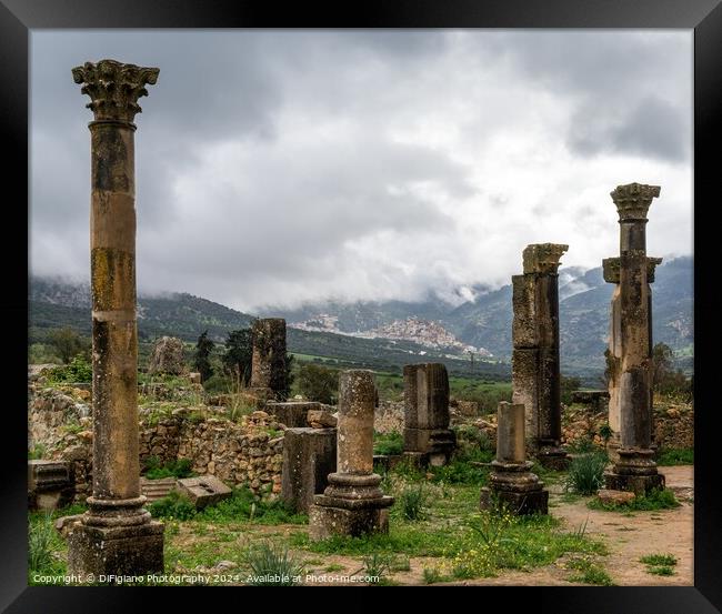 Volubilis Framed Print by DiFigiano Photography