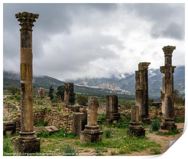 Volubilis Print by DiFigiano Photography